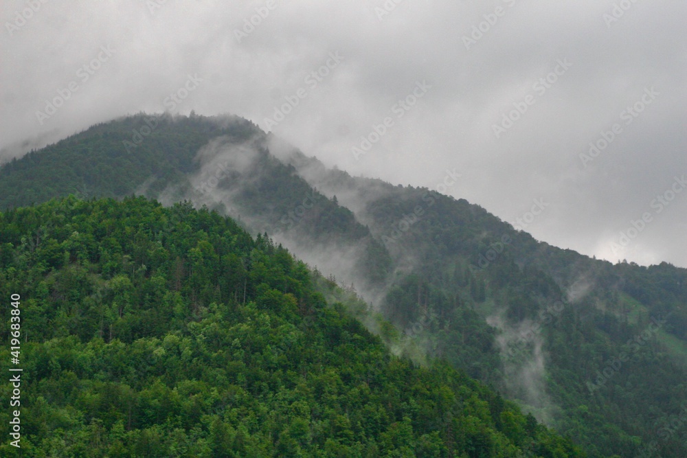 Fog Rising from Mountains