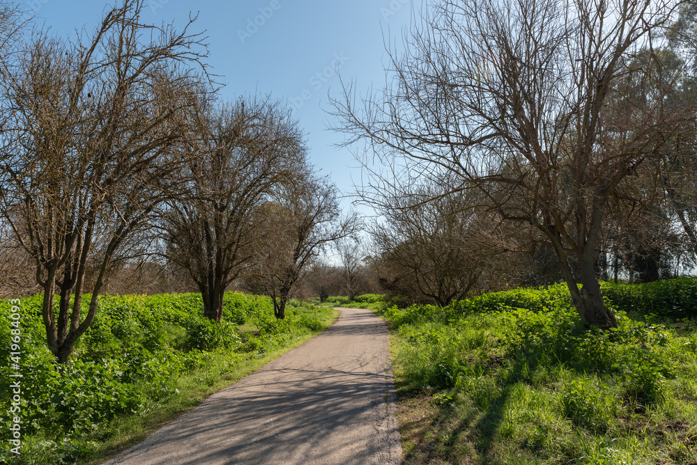 The excellent path for walking biking or riding in carts at Agmon Hahula Nature Reserve in Israel The excellent path for walking biking or riding in carts at Agmon Hahula Nature Reserve in Israel