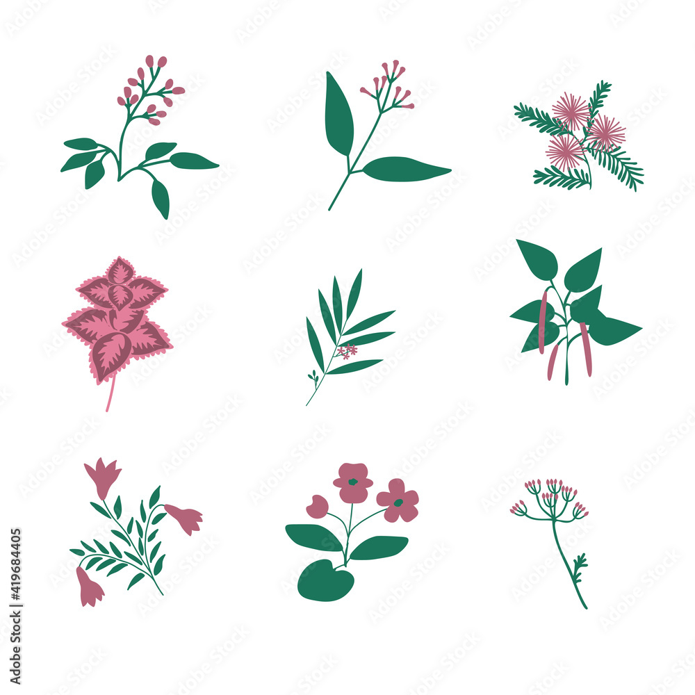 Fototapeta premium Vector flowers set