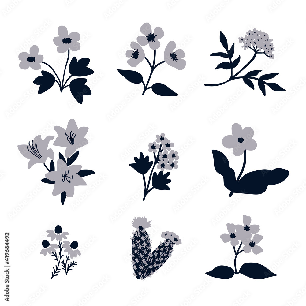 Vector flowers set