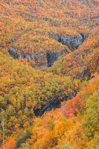 Mountain valley with autumn colors  Norway