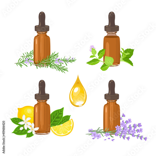 Set of essential oil in amber glass dropper bottle isolated on white. Rosemary, mint, lemon and fragrant flowers of lavender. Vector illustration in cartoon flat style.