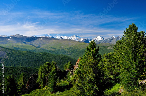 landscape with trees