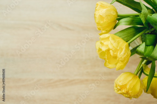 yellow tulips on wood background