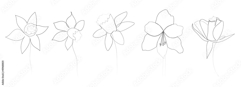 continuous line drawing of beautiful flowers continuous line drawing of beautiful flowers