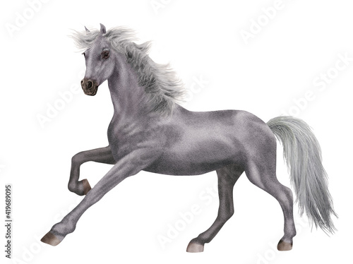cheval  licorne  animal  fantaisie  blanc    talon  gris  poney  photo  crin  illustration  poulain  chevalin  3d  fond blanc  jument  debout  premier pas  f    rique  andalou  pur  galop  amoureux des c