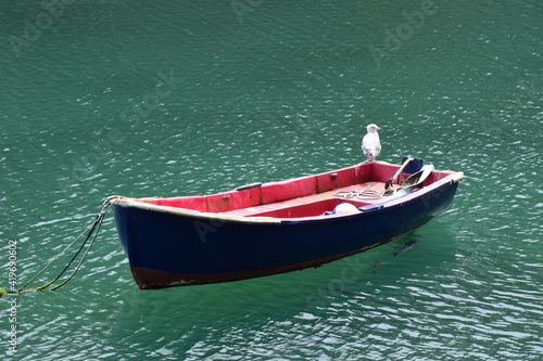 Rot-schwarzes Ruderboot mit Möwe auf grünem Wasser