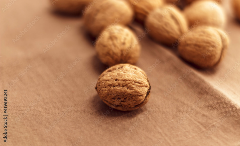 Healthy walnuts in their shells lie on a kitchen towel Healthy walnuts in their shells lie on a kitchen towel