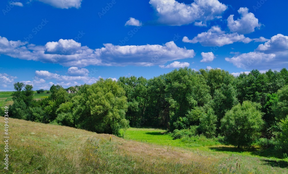 Summer rural landscape, meadow with wildflowers, landscape with sky and clouds Summer rural landscape, meadow with wildflowers, landscape with sky and clouds