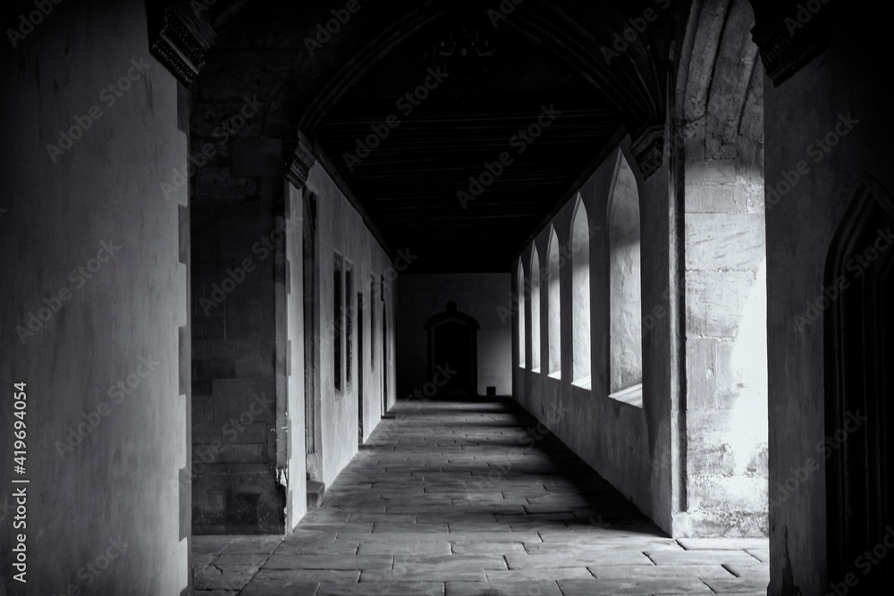 Light shining through arched windows to corridor or cloister of old building, casting dark shadows on stone floor. Moody monochrome black and white Light shining through arched windows to corridor or cloister of old building, casting dark shadows on stone floor. Moody monochrome black and white