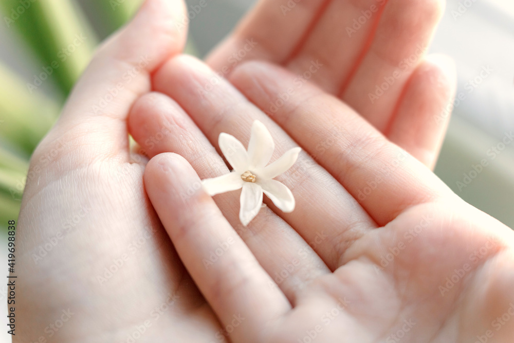 The girl holds a white flower in her hand The girl holds a white flower in her hand