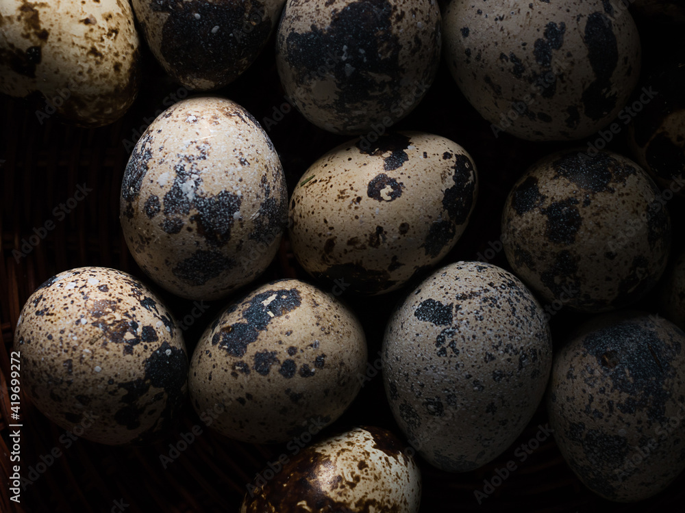 Obraz premium Quail eggs close up top view