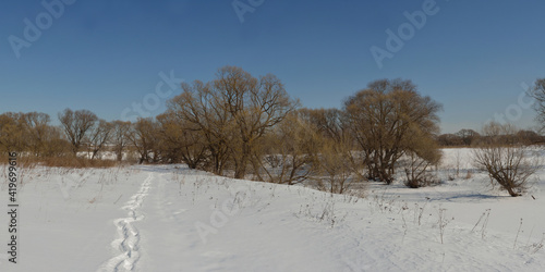 Wallpaper Mural Spring walk in the floodplain of the Desna River, a beautiful panorama. Torontodigital.ca