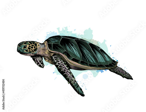 Obraz na płótnie Sea turtle from a splash of watercolor, colored drawing, realistic