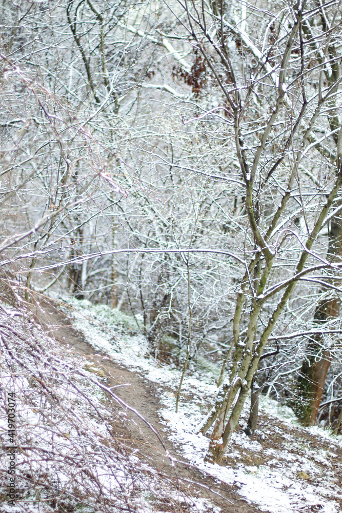 snow-covered park path in spring. snow-covered park path in spring.