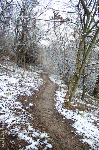 snow-covered park path in spring.
