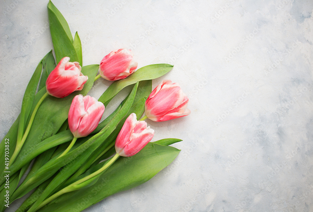 Bouquet of beautiful red and white tulips on white background. Greeting card for mothers day, easter Bouquet of beautiful red and white tulips on white background. Greeting card for mothers day, easter