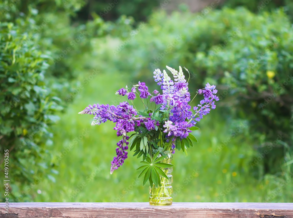 Obraz premium Bouquet of summer flowers outdoors. Large-leaved or Bigleaf Lupine flowers. Lupinus polyphyllus plants.