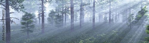 Morning in the forest  park in the fog  sun rays in the trees  3D rendering