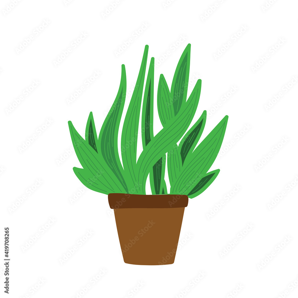 House plant in floral pot or planter. Vector illustration. House plant in floral pot or planter. Vector illustration.