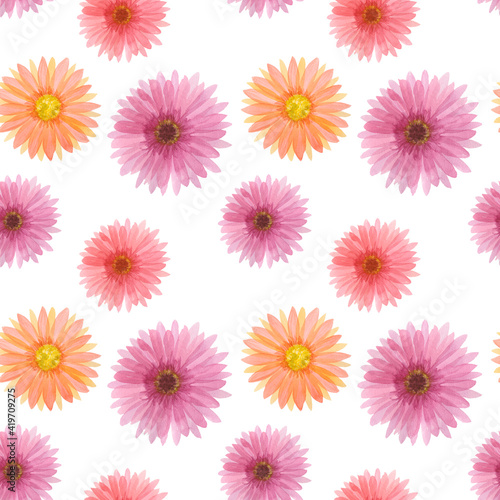 Watercolor seamless pattern with red and yellow gerberas and chrysanthemum. pattern red, yellow, pink gerbera flower isolated on white background. For design. Flat lay, top view.