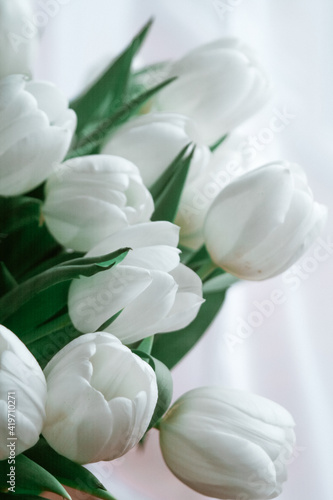 Fresh white tulips. Spring flowers. Floral minimalism concept.