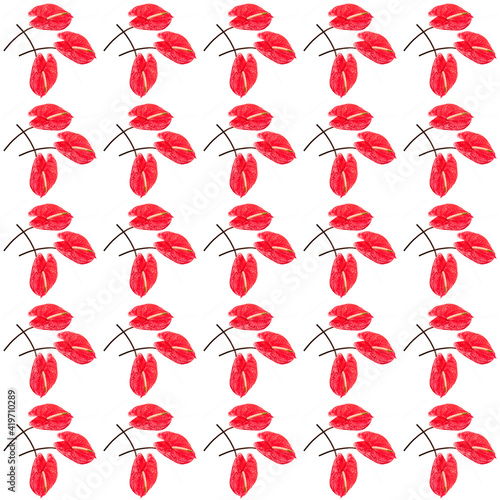 Flower patern. Pattern of red flowers on a white background.