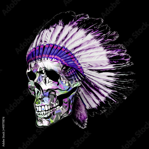 skull and crossbones indian...