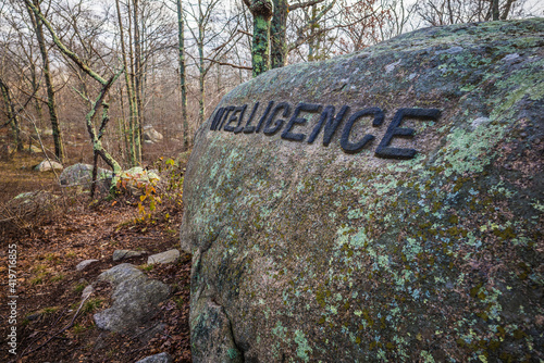 USA, Massachusetts, Cape Ann, Gloucester. Dogtown Rocks, inspirational saying carved on boulders in the 1920's, now in a pubic city park, 'Intelligence'.