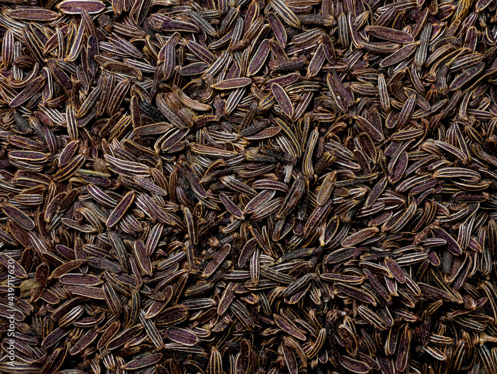 macro shoot and top view of cumin caraway from Turkey in details with high magnification very close. Ideal food and spice cumins background macro shoot and top view of cumin caraway from Turkey in details with high magnification very close. Ideal food and spice cumins background