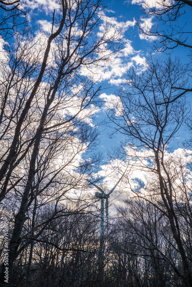 USA, Massachusetts, Cape Ann, Gloucester. Dogtown Commons, view of the wind turbines. USA, Massachusetts, Cape Ann, Gloucester. Dogtown Commons, view of the wind turbines.