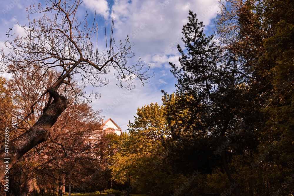 Landscape photography in a city Park in spring Landscape photography in a city Park in spring