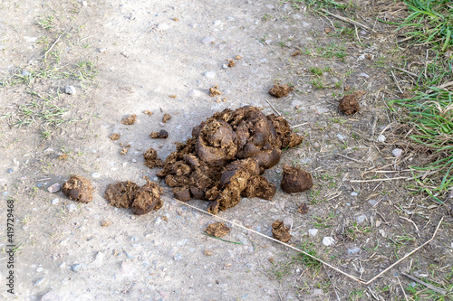 Horse dung or manure which has been left on a path