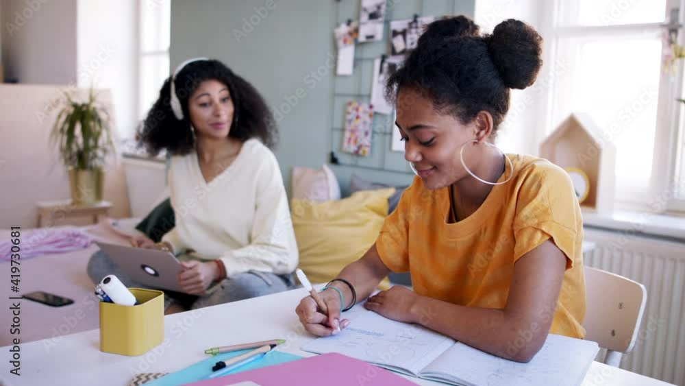 Portrait of young sisters with laptop indoors at home, e-learning concept. Portrait of young sisters with laptop indoors at home, e-learning concept.