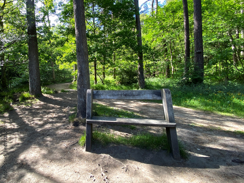 Wooden bench, in a rest area, with old trees, and wild plants in, Hardcastle Crags, Hebden Bridge, UK
