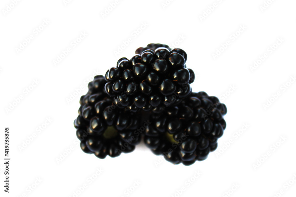 isolated blackberry on white background isolated blackberry on white background