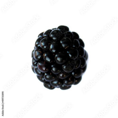 isolated blackberry on white background