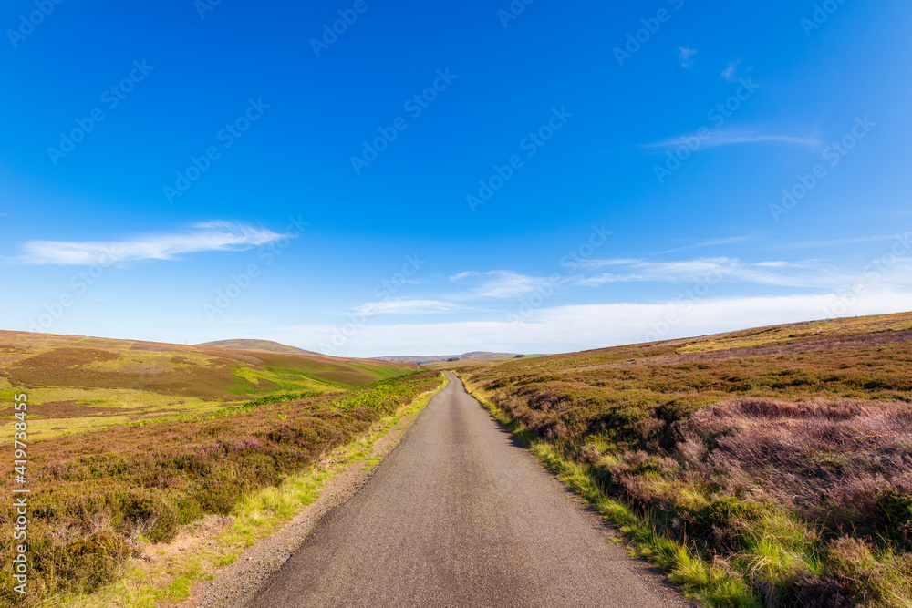 UK, Scotland, East Lothian, Road through wetland UK, Scotland, East Lothian, Road through wetland