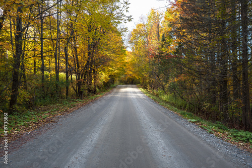 Deserted stretch of a back road through an autumn forest in the countryside of Vermont