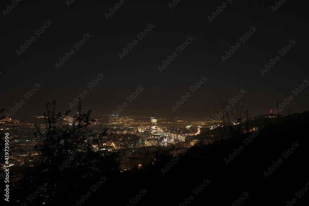 View of Bilbao at night