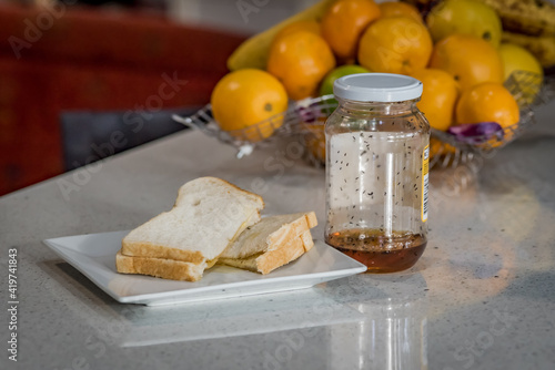 Black ants in food. Black ant problems