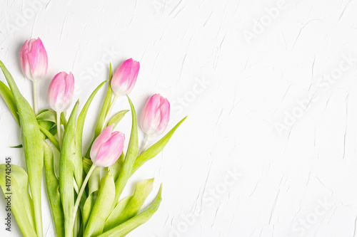 Bouquet of gentle pink tulips on white plaster background