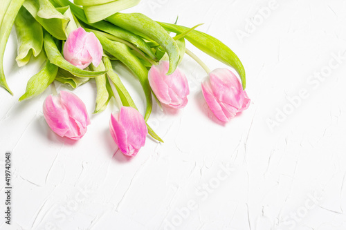 Bouquet of gentle pink tulips on white plaster background