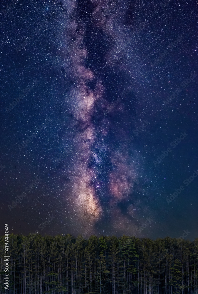 Starry Night Sky Milky Way Galaxy Photo With Trees Vertical