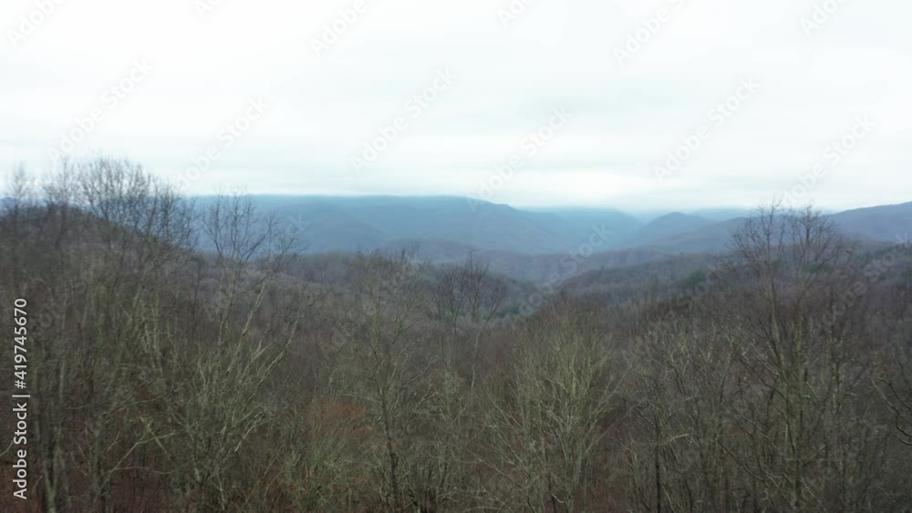 Fly through trees to reveal majestic forestry valley of Great Smoky Mountain Fly through trees to reveal majestic forestry valley of Great Smoky Mountain