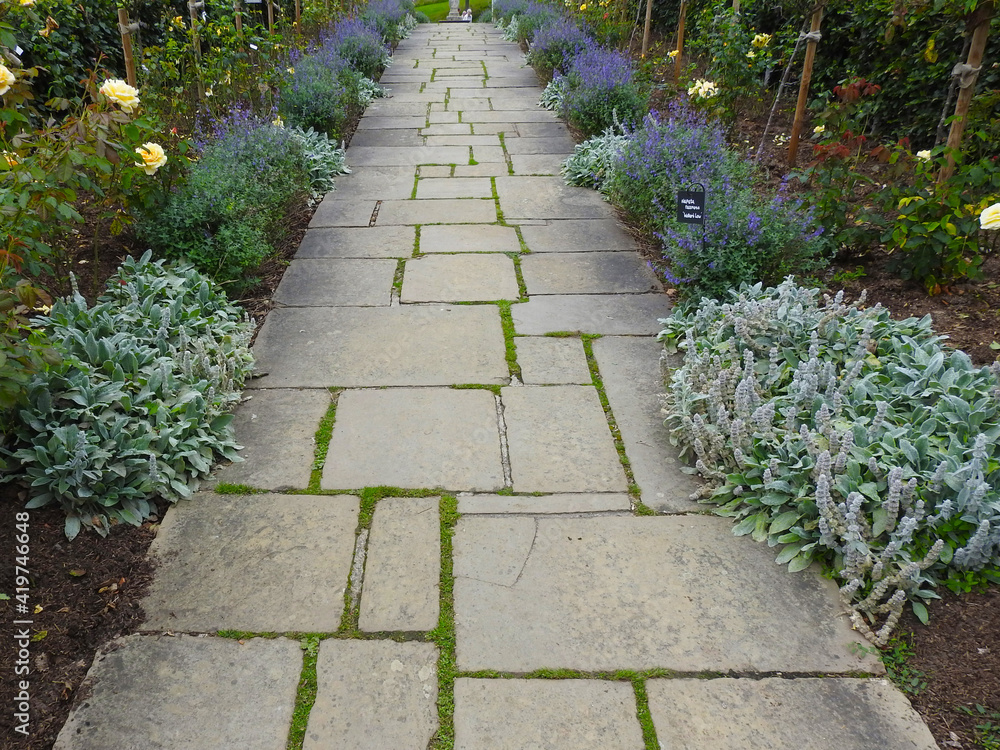 Stone walkway with plants on both sides