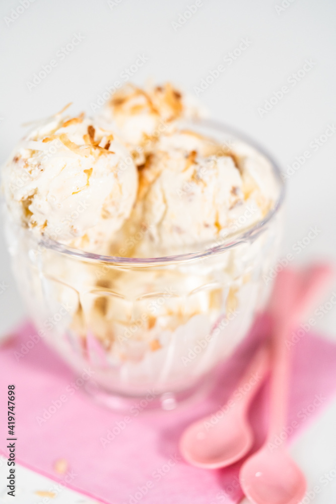 Coconut ice cream Coconut ice cream