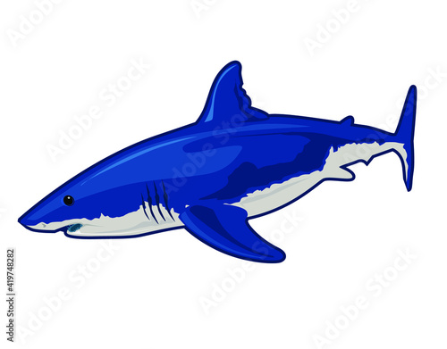 blue shark realistic cartoon in vector