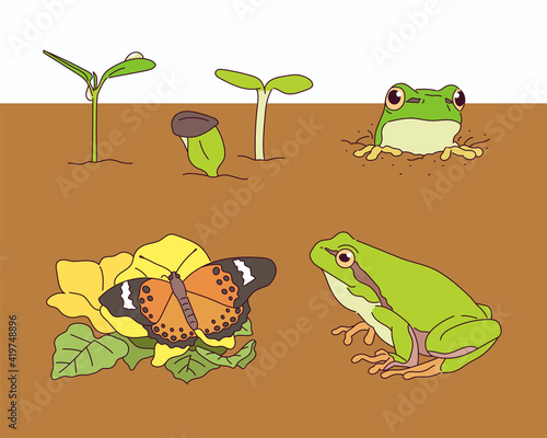 In spring  frogs and sprouts are emerging from the soil.