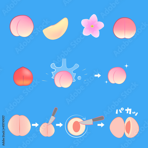 桃のイラストコレクション_Peach Collection